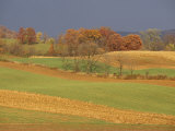 Pastoral View of Rolling Fields and Autumn Foliage