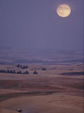 A Combine Chews Through an Undulating Field of Wheat under a Huge Full Moon