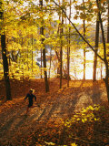 A Woman Jogs Through a Wooded Area in Low Sunlight