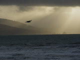 A Silhouetted Northern American Bald Eagle Soars Through Overcast Skies