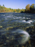 Scenic View of the Adams River