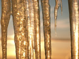 Icicles
