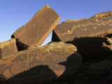 Petroglyphs Near Little Colorado River  Arizona