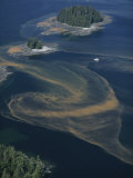 Red Tides Swirl Around Islands in Southeast Alaska