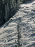 Skier on the Powder Slopes of Aspen