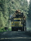 Truck Filled with Cut Lumber Travels down a Dirt Road