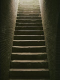 Cellar Steps