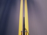 View from the Front of a Speeding Bicycle