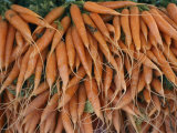 Stacks of Carrots at an Open-Air Vegetable Market in Macon