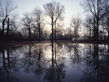 View of Bloody Pond