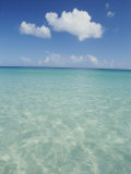 Aquamarine Water Bleeds into Blue Skies in This Tropical View