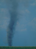Whirlwind over the Grassland