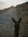 A Couple and a Donkey Walk up the Cobblestone Road to the Acropolis