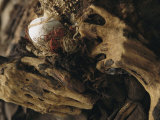 The Hands of a Mummy Exhumed at Puruchuco-Huaquerones
