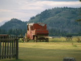 An Orginal Carriage and Other Equipment on the Historic Okeefe Ranch