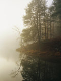 Early Morning Fog in the Trees Around Otter Lake