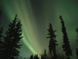 The Northern Lights Illuminate the Evening Sky over North Pole