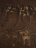 Indian Petroglyph Depicting a Mountain Sheep