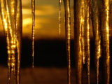 Icicles