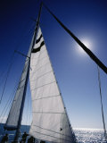 A Tourist Catamaran on Shark Bay in the Afternoon