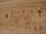 Indian Pictographs on a Sandstone Wall