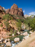 One of the Patriarchs Looks Over the Zion River Tumbling Over Rocks