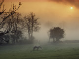 The Countryside Around Swansea  Birthplace of Dylan Thomas