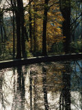 Reflecting Pool and Oaks at Theodore Roosevelts Memorial
