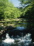 Waterfalls on the Eno River Passing Through a Hardwood Forest