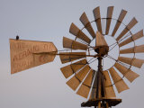 A Bird Perches on a Windmill at the Historical Steven's Creek Farm