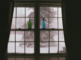 View Through a Window Looking out at the Snow