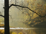 Creek Runs Through Blue Hole Campground