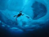 Diver Tethered against Currents Inspects Multi-Year Ice Floe