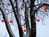 Warm Hearts Color a Tivoli Gardens Scene in Copenhagen  Denmark
