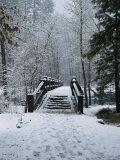 A Snow-Covered Footbridge over the Merced River