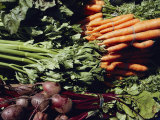 Beats  Celery  and Carrots at the Tilth Festival in Seattle