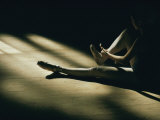 A Dance Student Adjusts a Toe Shoe
