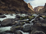 Colorado River Flows over a Rocky Streambed