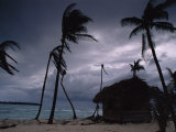 A Storm Ravages the Palm Trees and Huts on Glovers Reef