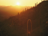 Sunset over Tucson Mountain State Park