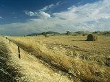 A Hay Field with Bales Sitting under a Cloud-Filled Sky