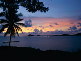 A Tropical Sunset