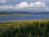 Autumn Foliage Surrounds Campbell Lake Near Inuvik