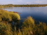 Autumn Foliage Surrounds Campbell Lake Near Inuvik