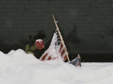 American Flags and a Rose Commemorate a Loved One at a War Memorial