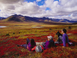 People Watch the Landscape Unfold Before Their Eyes