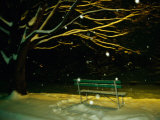 Snow Falls on a Park Bench at Night