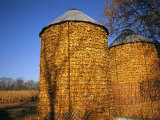 A View of Corn Cribs with Corn Fields in the Background