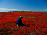 A Person Sits in a Field
