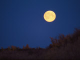 A Full Moon Rises Above the Mackenzie River Delta